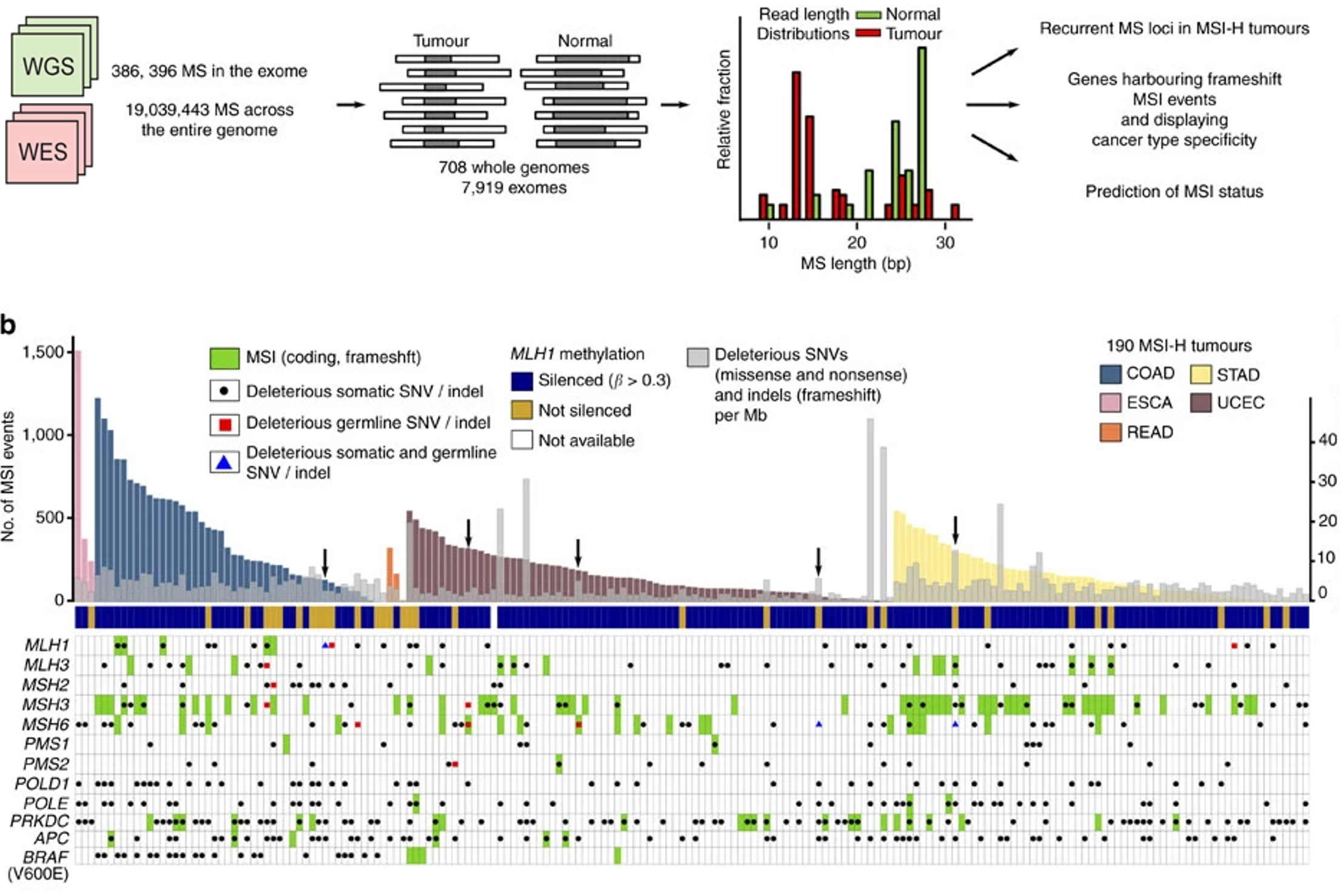 Microsatellite Instability Detection using DNA